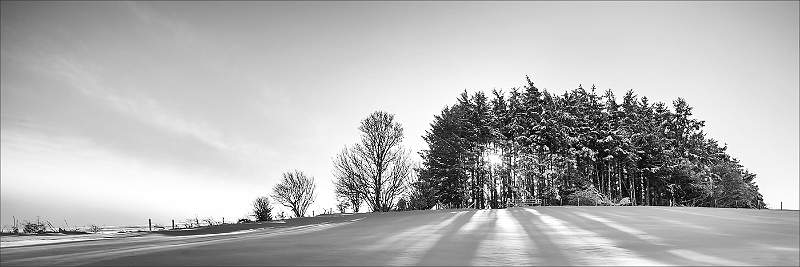 Winter Sunlight Breaking Through.jpg